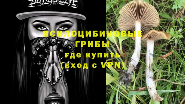 бутират Балабаново